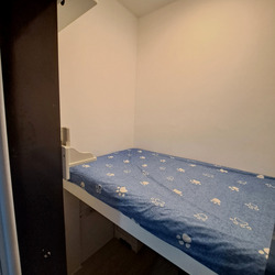 Sycamore Tree (D15), Apartment #561818861